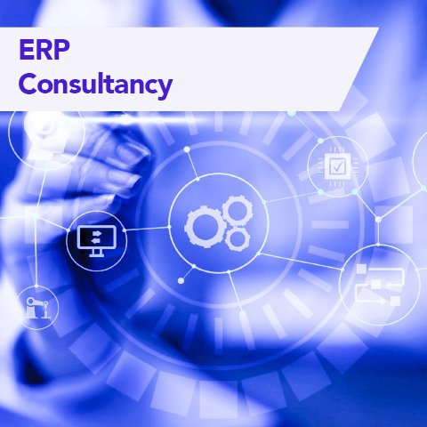  ERP Consultancy 