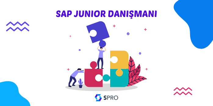  SAP Junior Danışmanı 