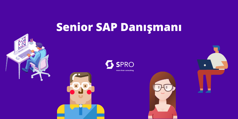  Senior SAP Danışmanı 