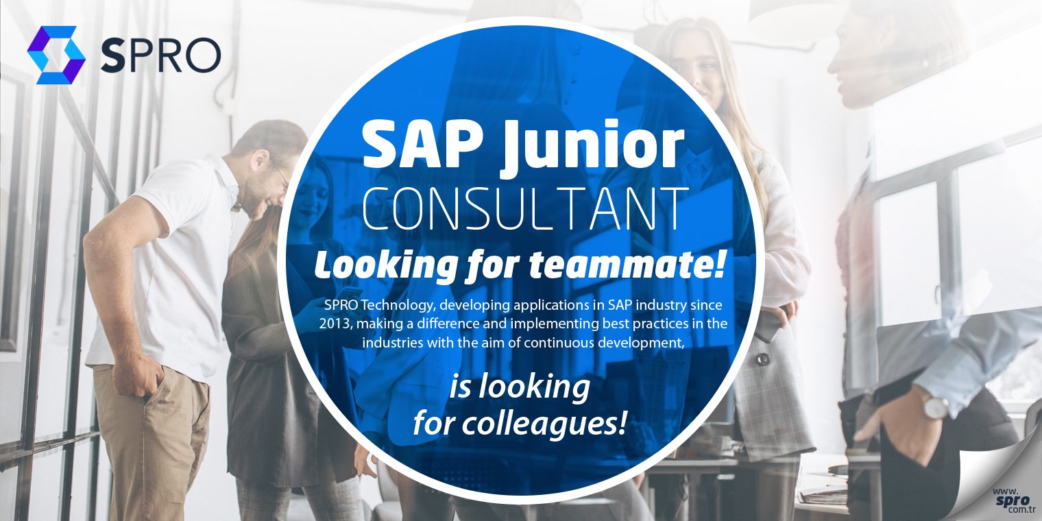  SAP Junior Consultant 